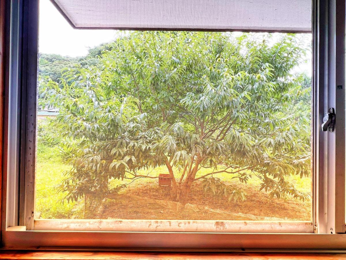 Iriyama-So Hotel Shimoda  Ngoại thất bức ảnh